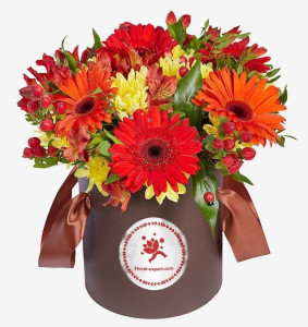 Autumn Box Image