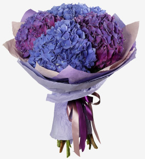 Hydrangea Bouquet Image