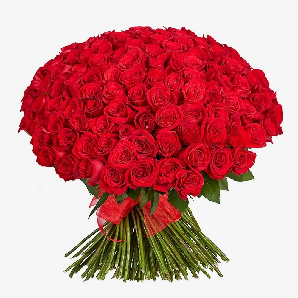 150 Red Roses